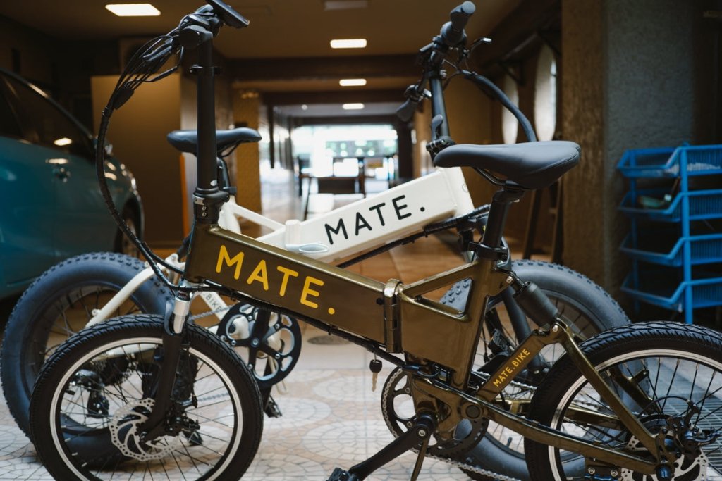 NKS04233-5360398.jpg?v=1759570687