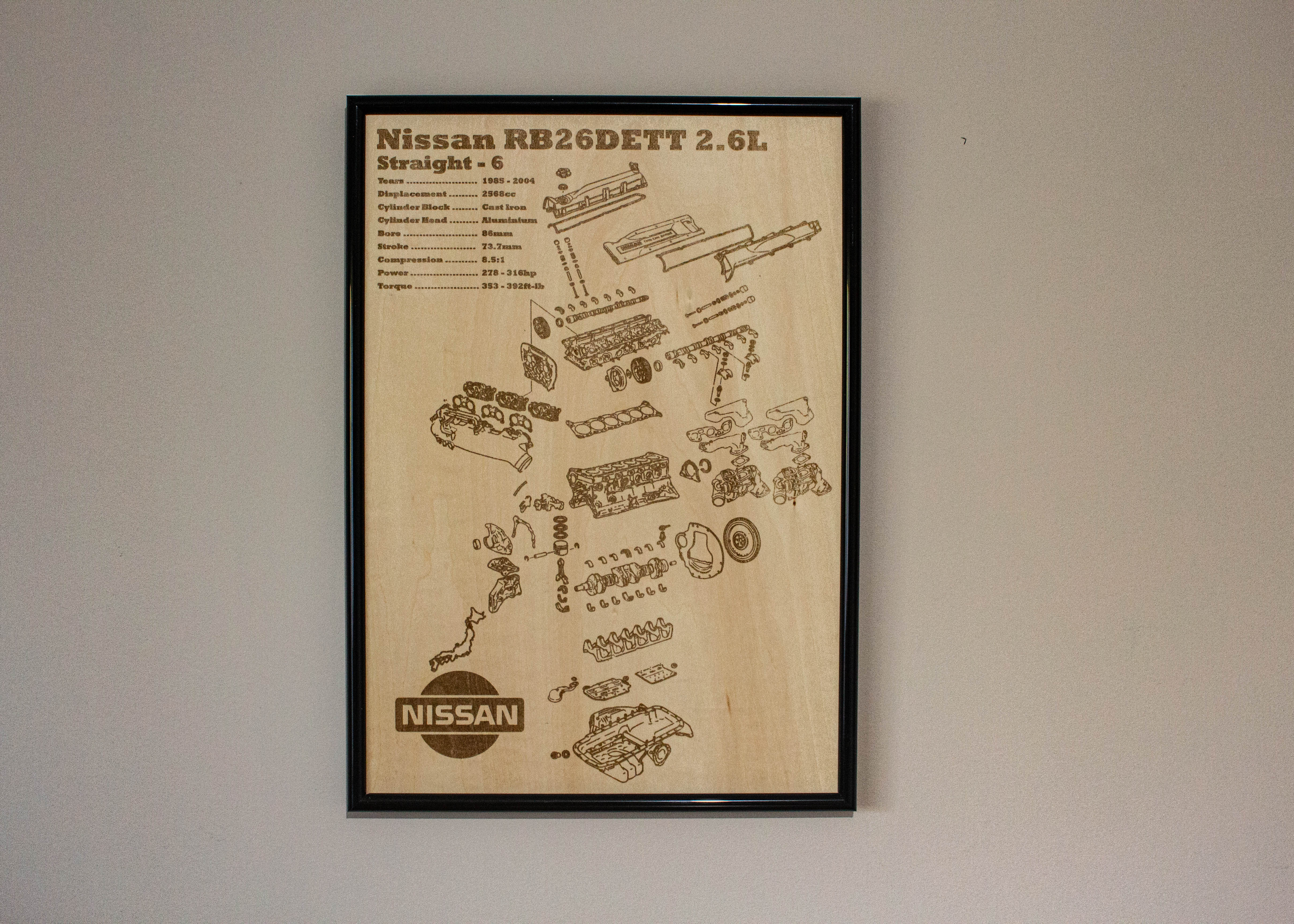 IMG_4959.jpg?v=1749901276