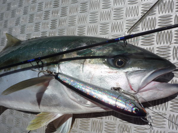 カーペンター BLC84／18 ブルーチェイサー