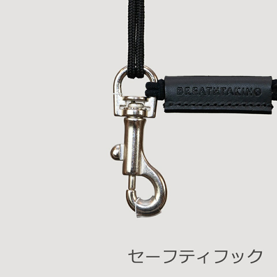 楽天市場】完売次第終了 BREATHTAKING ブレステイキング サックス