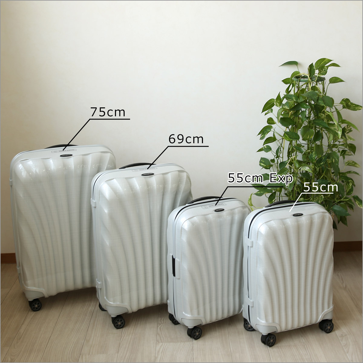 楽天市場】【クーポン4種あり】サムソナイト Samsonite C-Lite Spinner