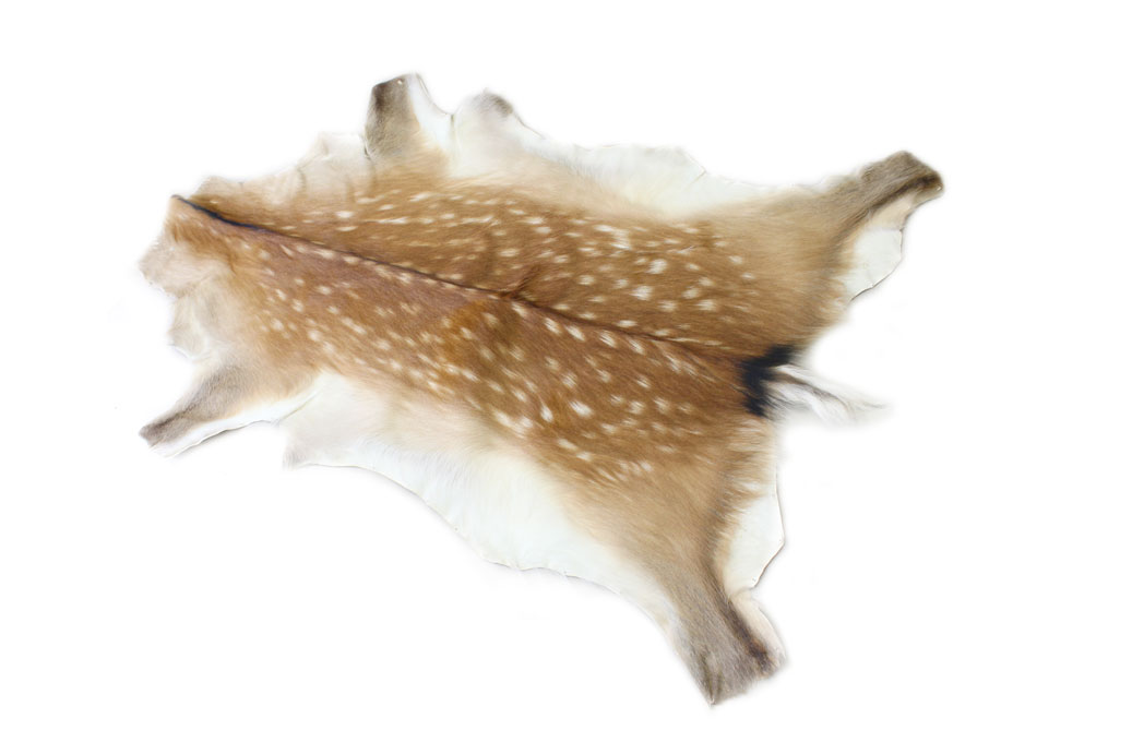 楽天市場】北海道産【鹿毛皮敷物（ラグマット）夏毛】毛付き鹿皮【送料