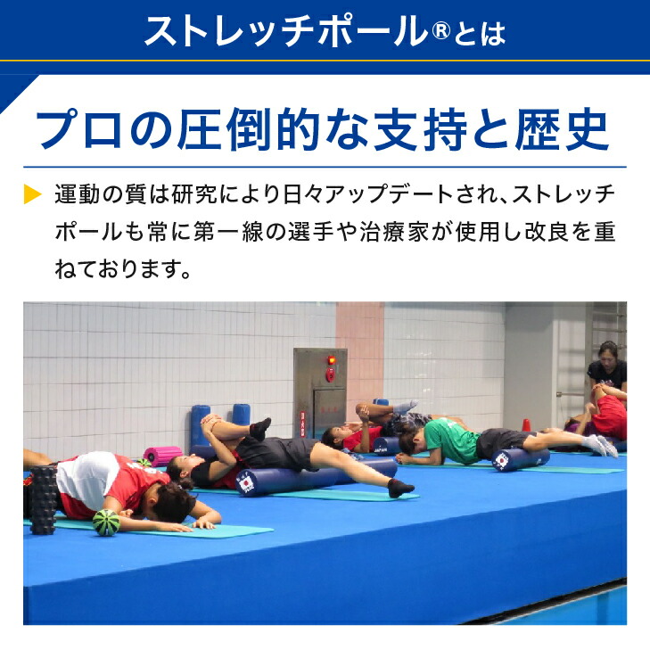 楽天市場】LPN ストレッチポールMX(アイボリー)スタートBOOK