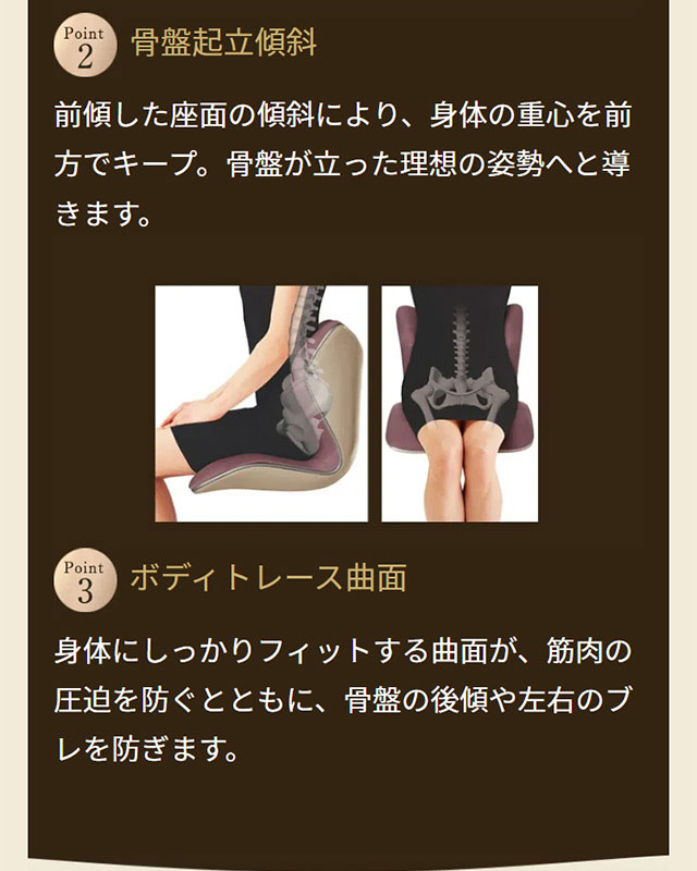 MTG Style スタイル プレミアム 座椅子 ボディメイクシート 【公式通販】