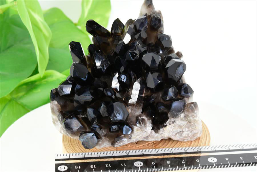 楽天市場】□アーカンソー州産□黒水晶 スモーキークォーツ クラスター