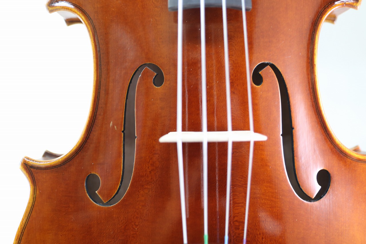 楽天市場】17インチ ヴィオラ ♪マスターレベル♪ 432mm ビオラ