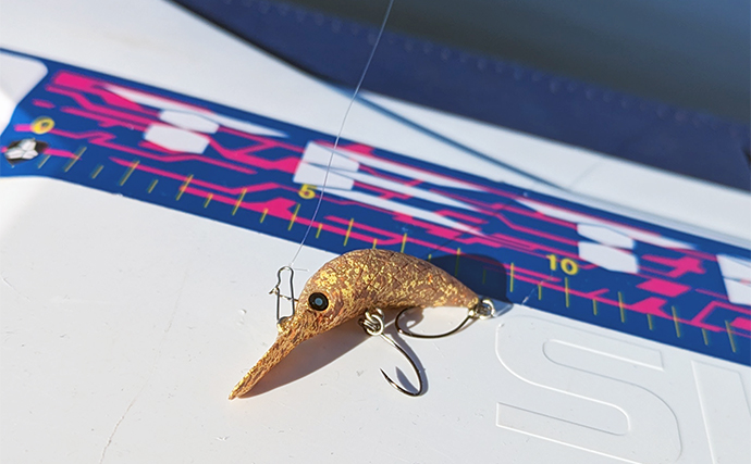 釣れる【エリアトラウト用クランク8選】 実績抜群のおすすめルアーを