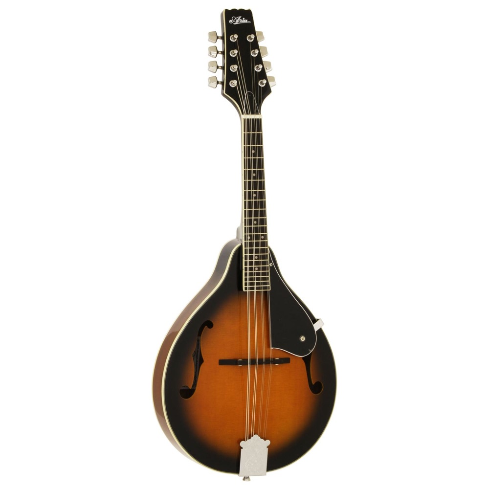 ARIA フラットマンドリン AM-20弦新品ダダリ オ交換済み ARIA/フラット