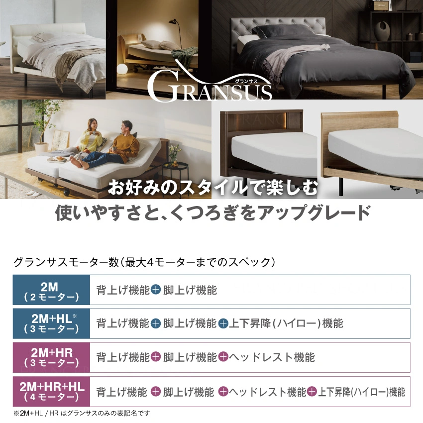 フランスベッド 電動ベッドフレーム グランサス GS-03C 背上げ+脚上げ