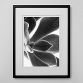 定番品】パブロ・ピカソ 「フクロウ」ブラックフレーム｜ポスター