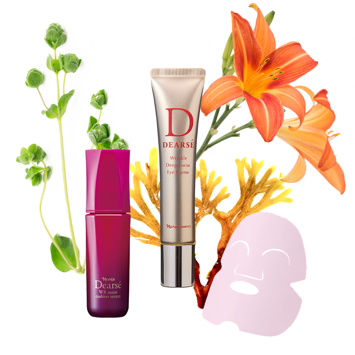 ディアーゼ WR｜ブランド情報｜ナリス化粧品