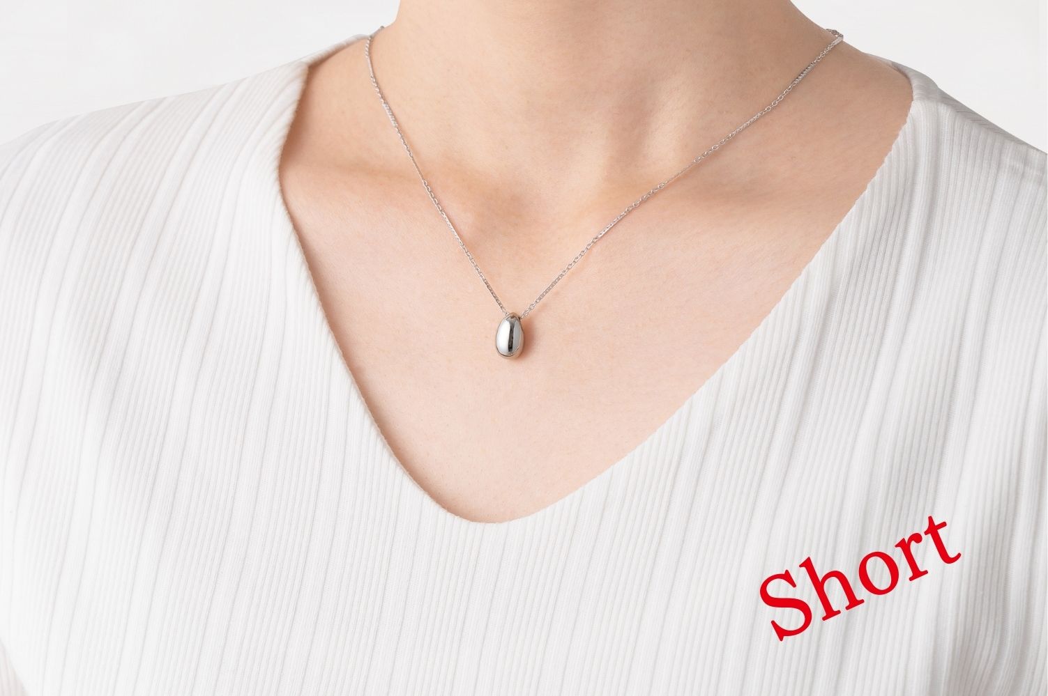 遺骨ペンダント 2way ステンレス モワ | ソウルジュエリー 公式