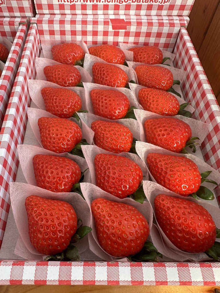 全国いちご選手権金賞受賞「いちご畑花園」のあまりん 厳選2Lサイズ