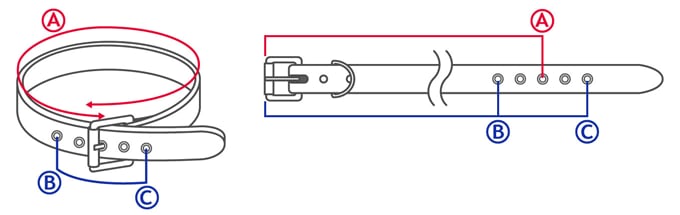 2×1連コニカルベルト｜『666』パンクロックファッションの通販