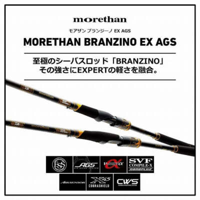 Daiwa Morethan Branzino EX AGS 1010ML/M (Spinning 2 Piece) | eBay