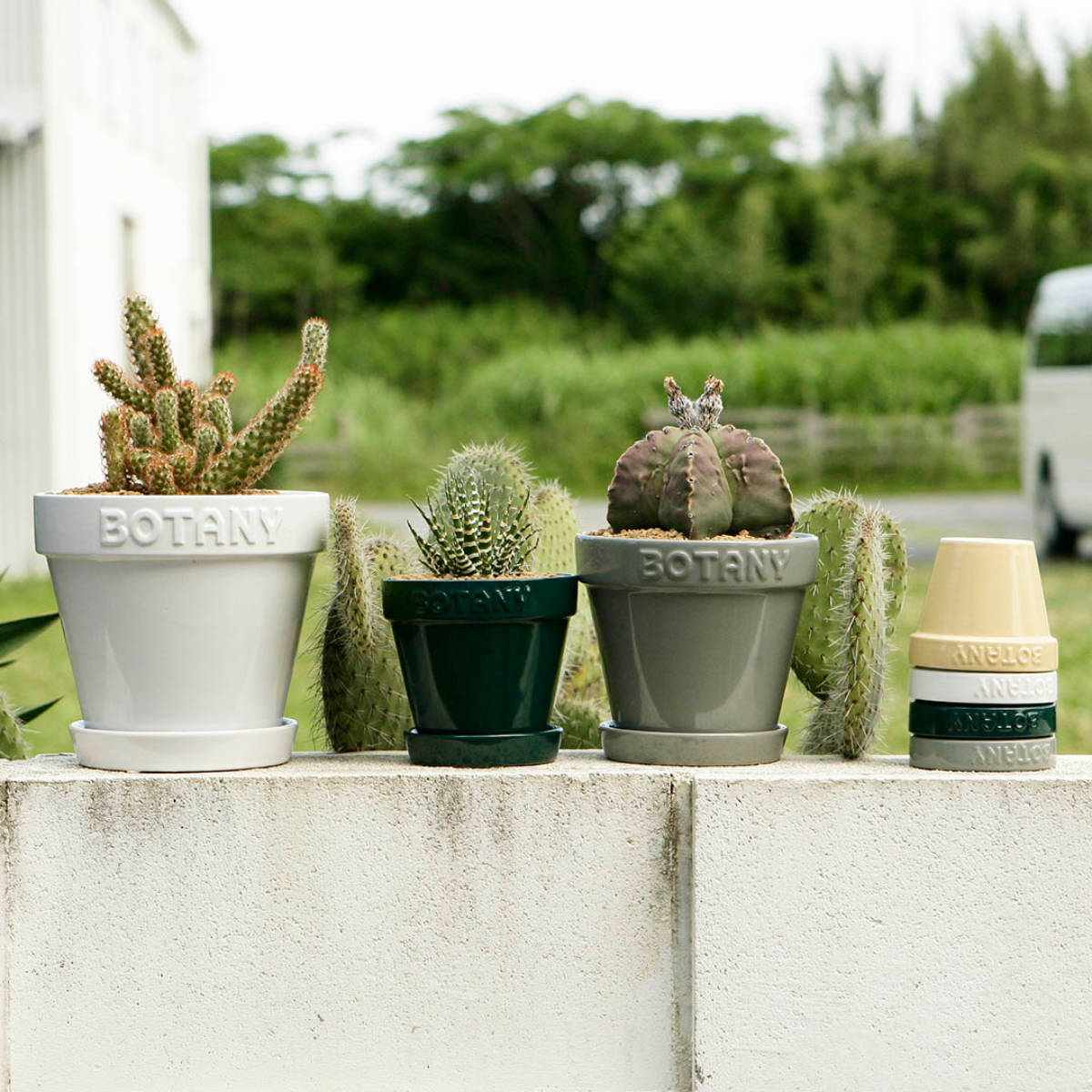 楽天市場】ダルトン 植木鉢 ボタニーポット 6号鉢 ガーデンポット