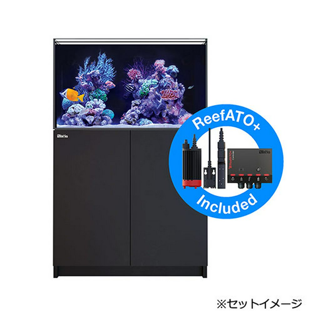 レッドシー REEFER 250 G2+ ブラック 代引不可 200 3個口 | チャーム