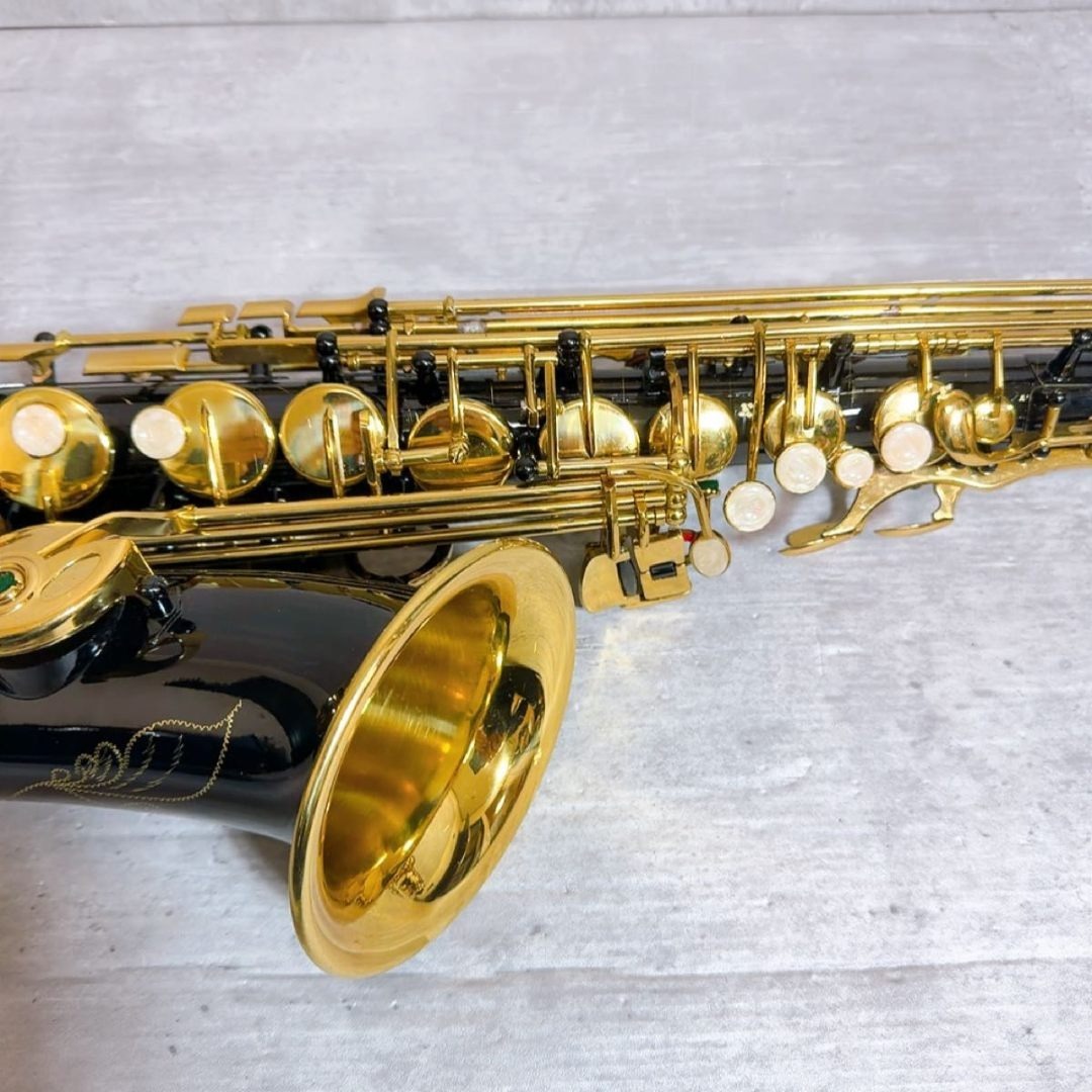 良品! アルトサックス 黒 ゴールド 管楽器 ノーブランド ケース 良品