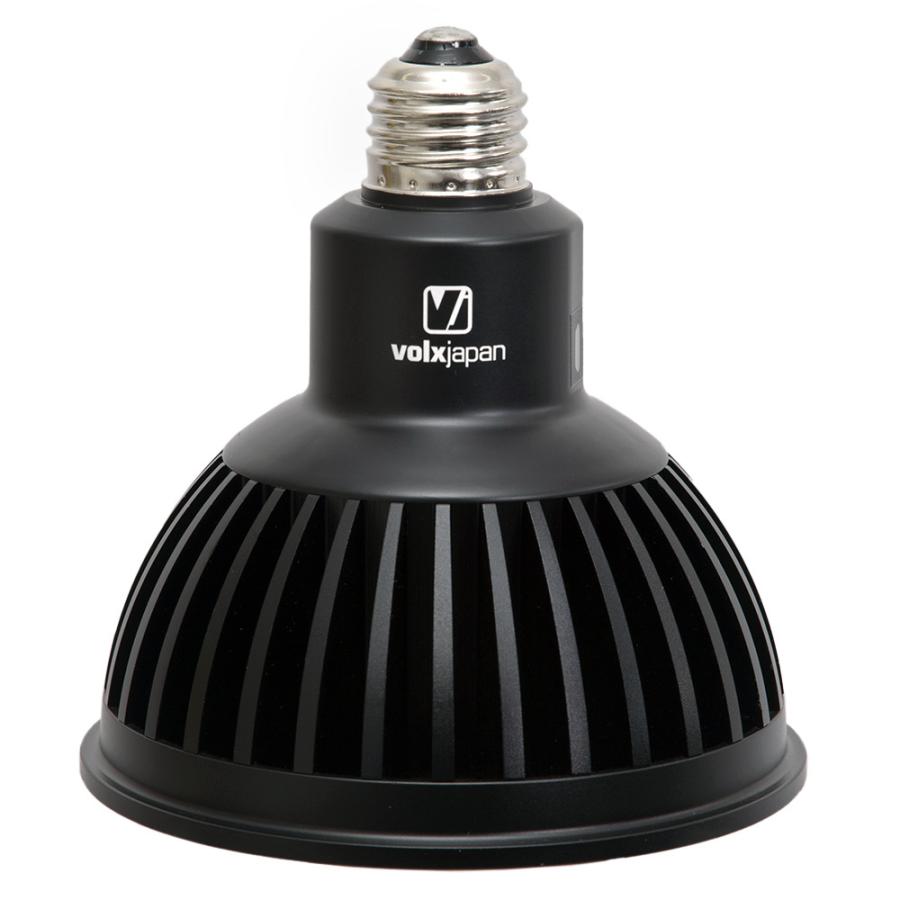 volxjapan（ボルクスジャパン） Grassy LeDio RX122s