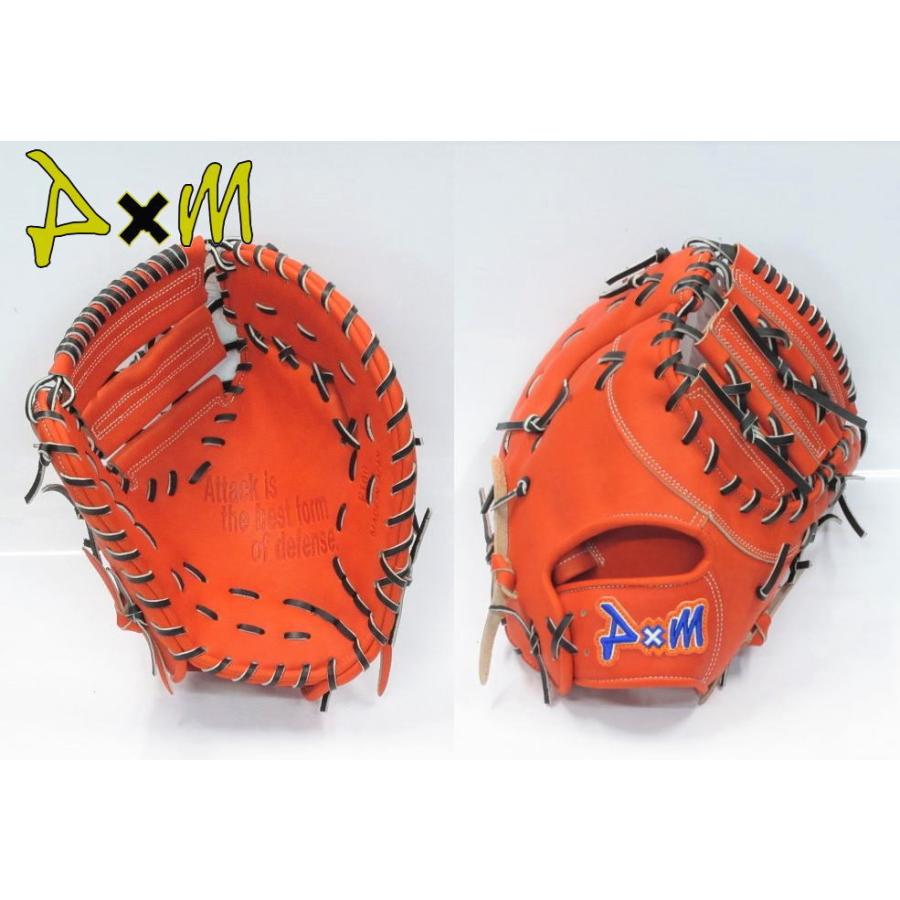 D×M ディーバイエム 硬式ファーストミット 一塁手用 グローブ F100 F