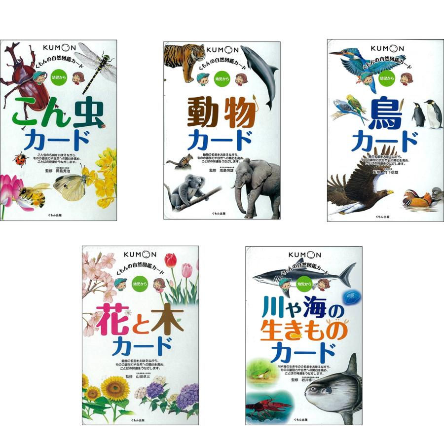 くもん kumon 自然図鑑 カード 5巻セット （こん虫、動物、鳥、花と木
