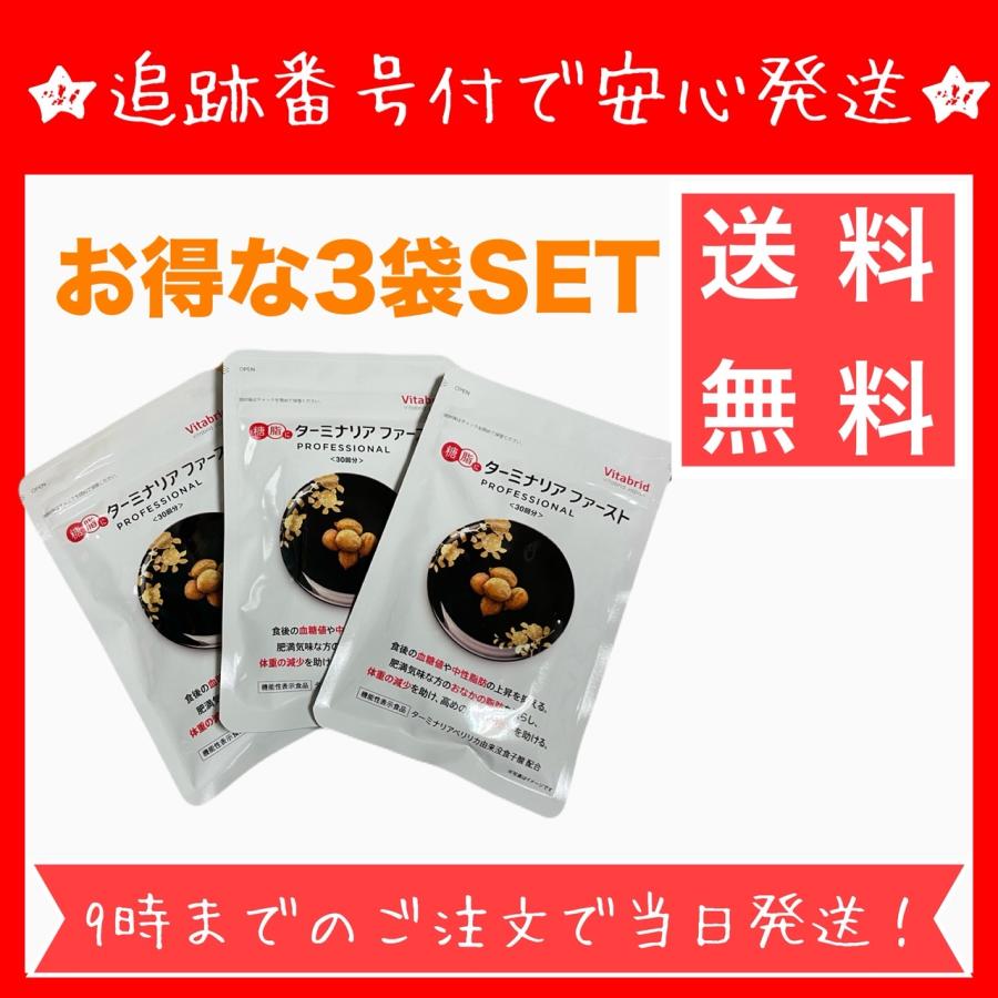 ターミナリアファースト PROFESSIONAL30回分3パック ターミナリア