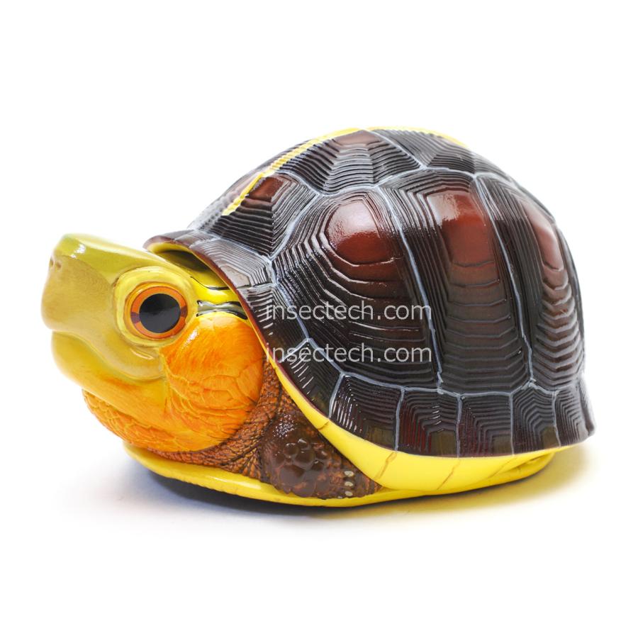 動物の惑星】チュウゴクセマルハコガメ（大陸型）フィギュア