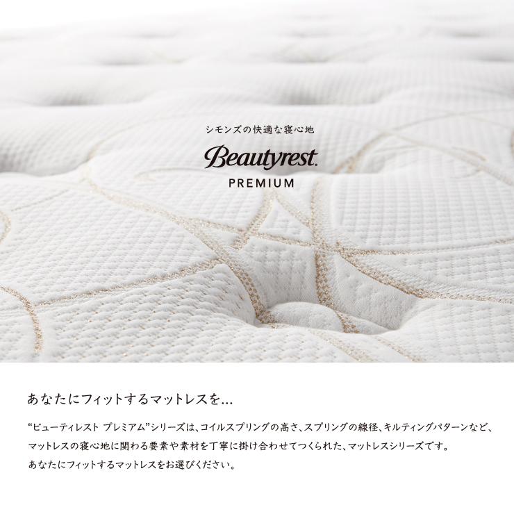 SIMMONS（シモンズ） ゴールデンバリューマットレス AA21223 SD