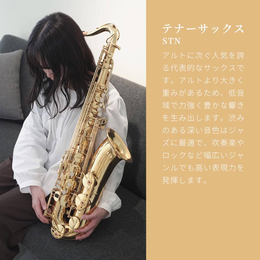 Soleil テナーサックス STN-1 単品〔セミハードケース、その他付属品
