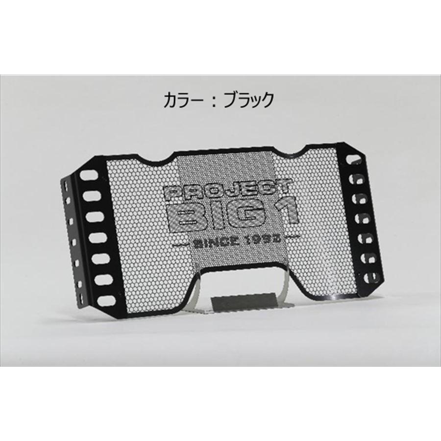 TSR TSR 0SS-ZP-S54F1BK0 ラジエターコアガード TYPE PROJECT BIG-1