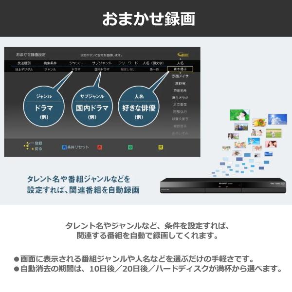 AQUOS シャープ ブルーレイレコーダー 2B-C10GW1 1TB アクオス 2番組