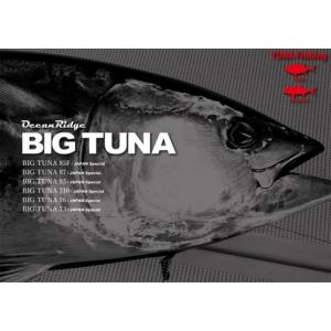 RippleFisher BIG TUNA 76 JAPAN Special/リップルフィッシャー