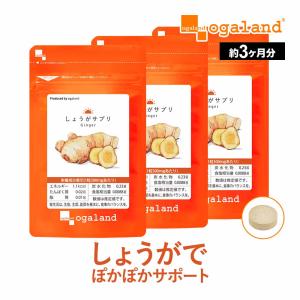 山田養蜂場 まるごと濃縮しょうが粒 60粒袋入 健康食品 サプリ