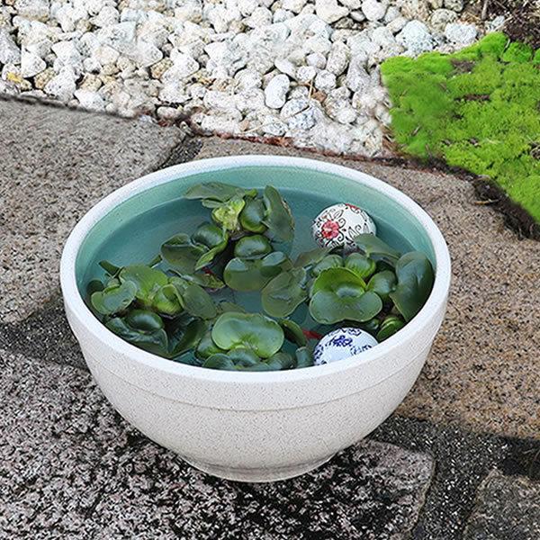 信楽焼 睡蓮鉢 メダカ鉢 おしゃれ めだか鉢 陶器 水鉢 ビオトープ