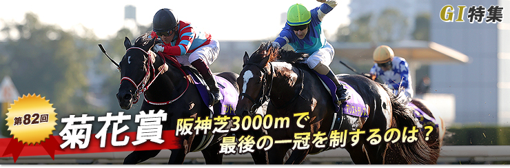 第82回 菊花賞｜G1特集｜競馬予想・競馬情報ならJRA-VAN