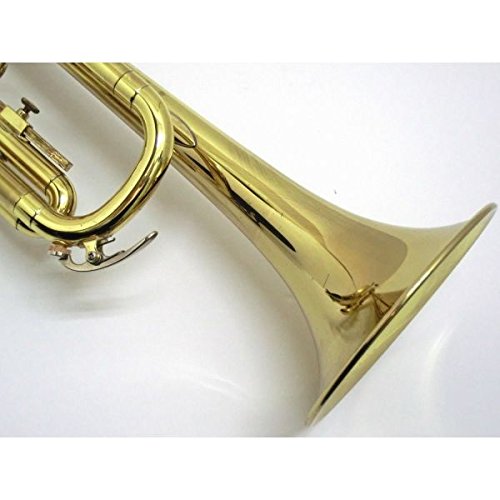 Amazon | YAMAHA ヤマハ / YTR-233 | トランペット | 楽器・音響機器