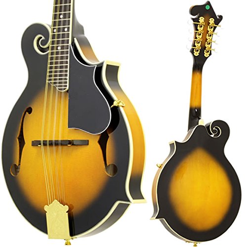 Amazon | Aria フラットマンドリン 初心者 入門 渦巻きボディのFタイプ