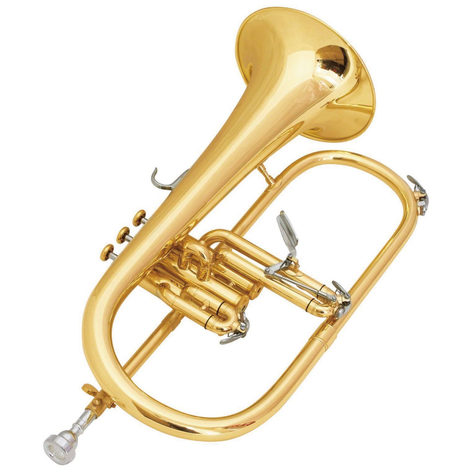 Amazon | MAXTONE フリューゲルホルン B♭管 ゴールドラッカー仕上げ