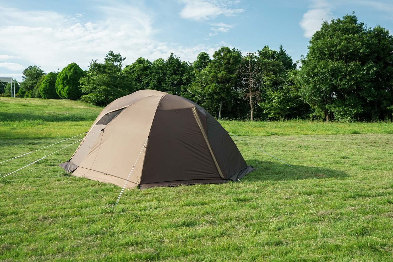 オガワ ステイシーファルダ 【中古】 2025年最新】Yahoo!オークション