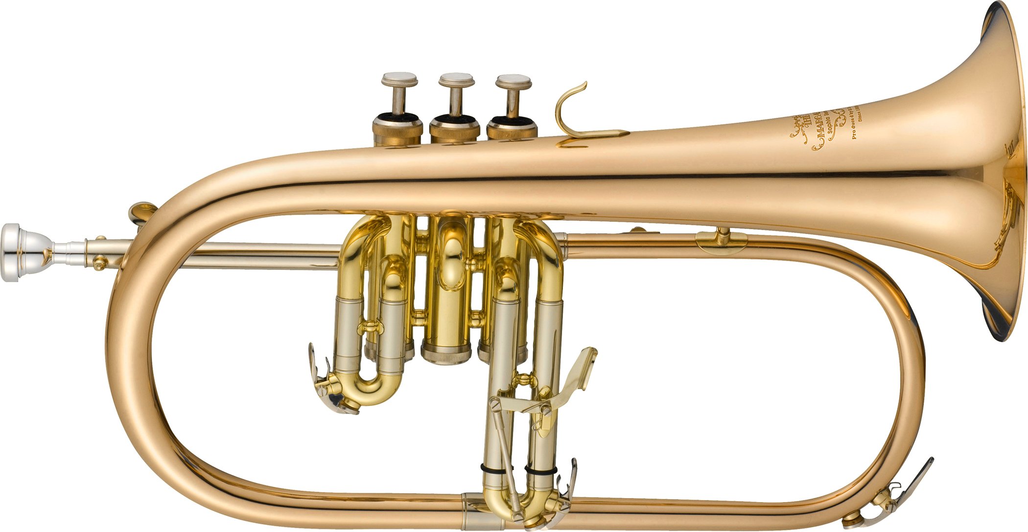 Amazon | MARCATO フリューゲルホルン FH381GB ゴールドブラス・クリア