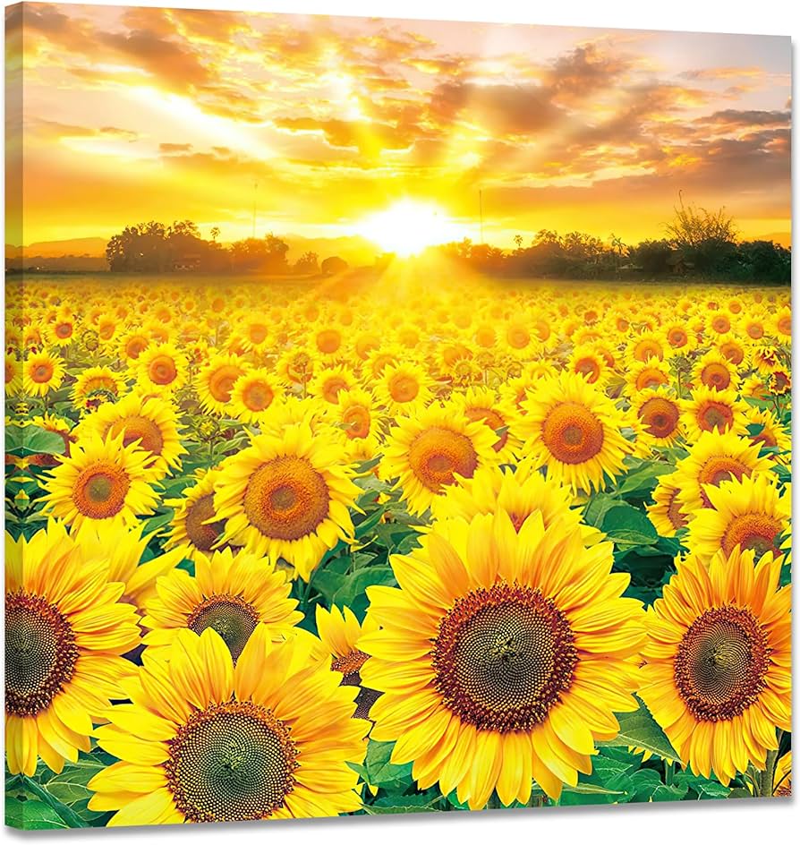 Amazon.co.jp: ひまわり 絵画 向日葵 アートパネル 花の絵 インテリア