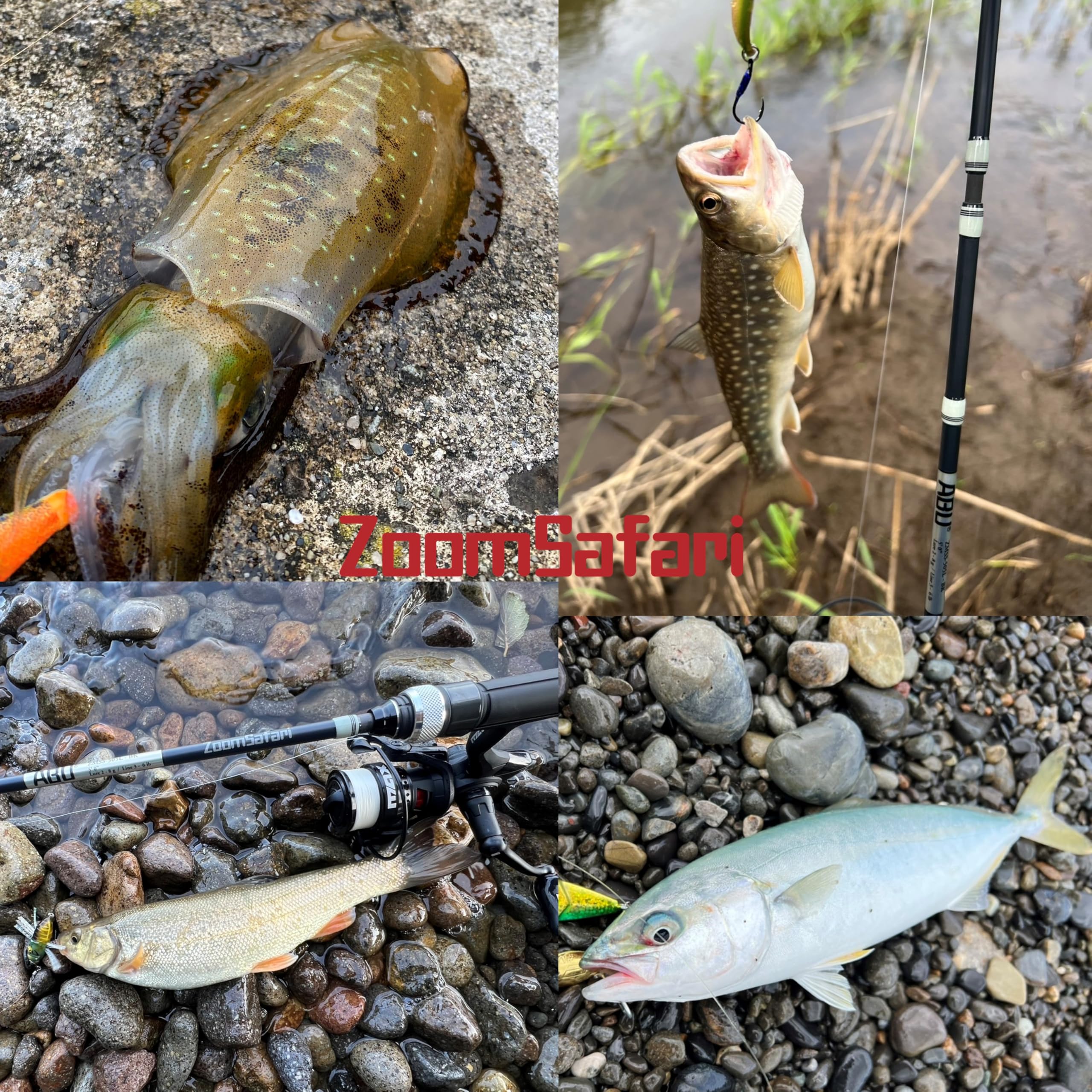 Amazon | 【特別版】 パックロッド スピニング ズームサファリ