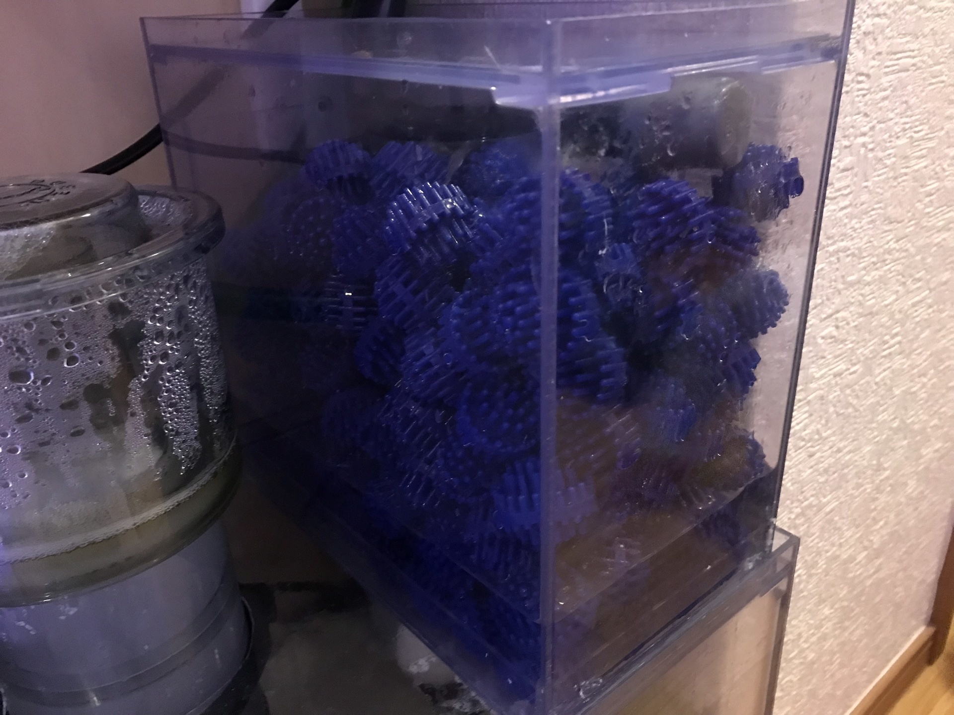 ドライ濾過を強化する: 松崎水槽日記