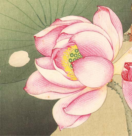 小原古邨（おはら・こそん）の「蓮に雀」（画像は個人蔵）。蓮の花脈の