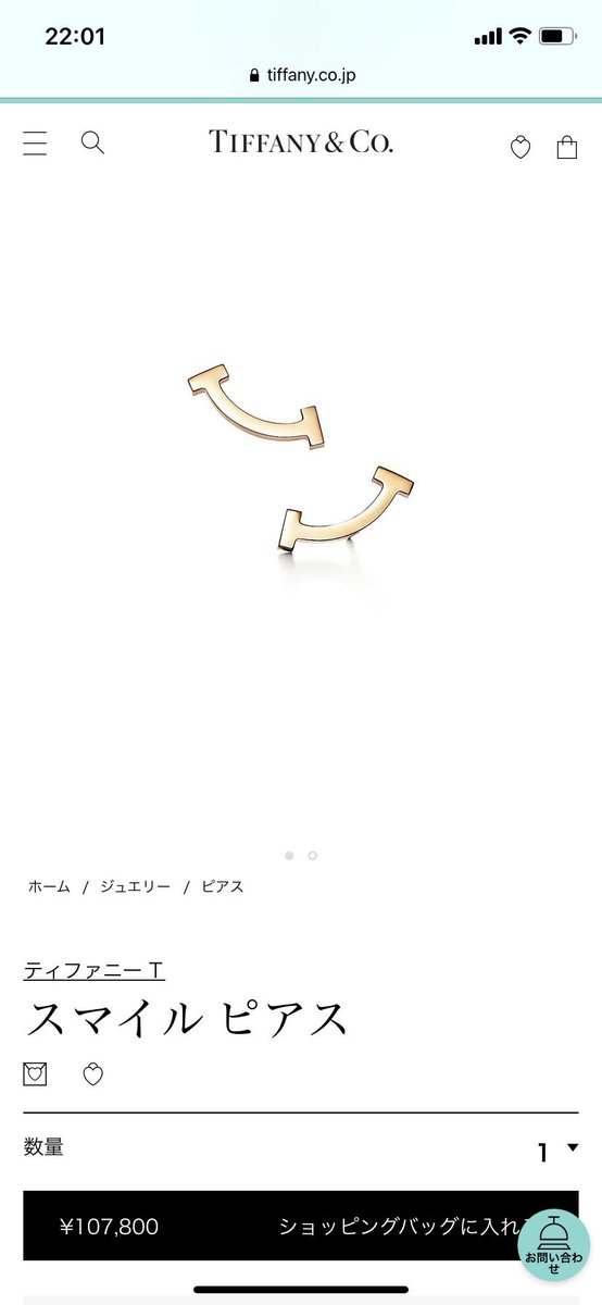 渡辺翔太さんのホッチキスピアスAir Spaceってとこのなのか、Tiffenyか