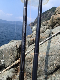 上物釣り＞＞新製品”レガリア” : DAIKOスタッフの釣行日記