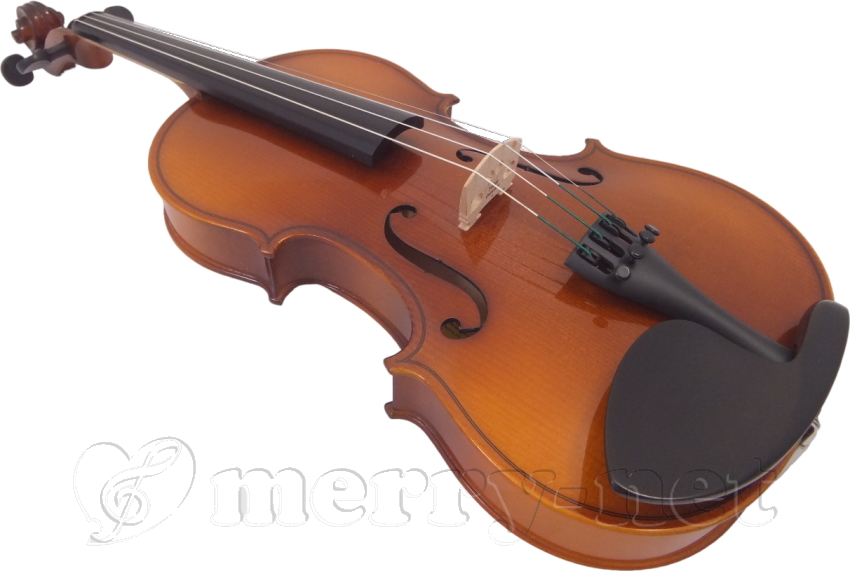 ☆HORA/ホラ Reghin VIOLIN 4/4 バイオリン 2020 ルーマニア製 弓