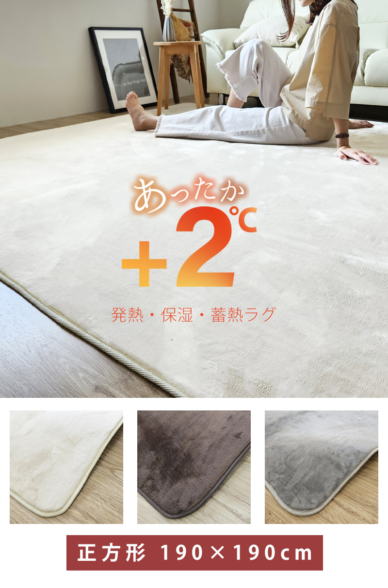 カーペット ラグ 冬 あったか 5畳 230 330 大きい 厚い 大 カーペット