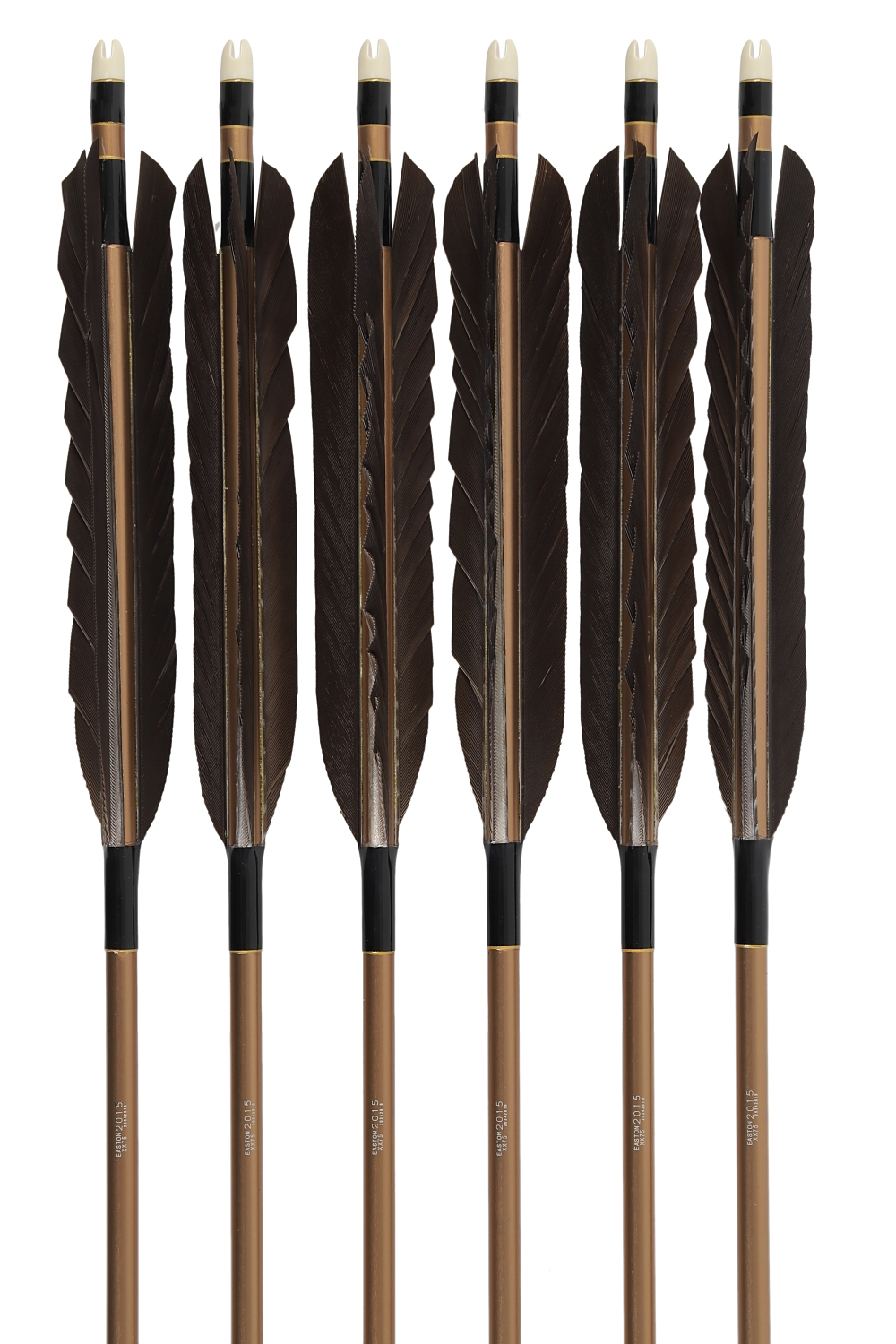 2015シャフト 黒尾羽 4種類 6本組 イーストン 黒 茶 シャフト 推奨弓力