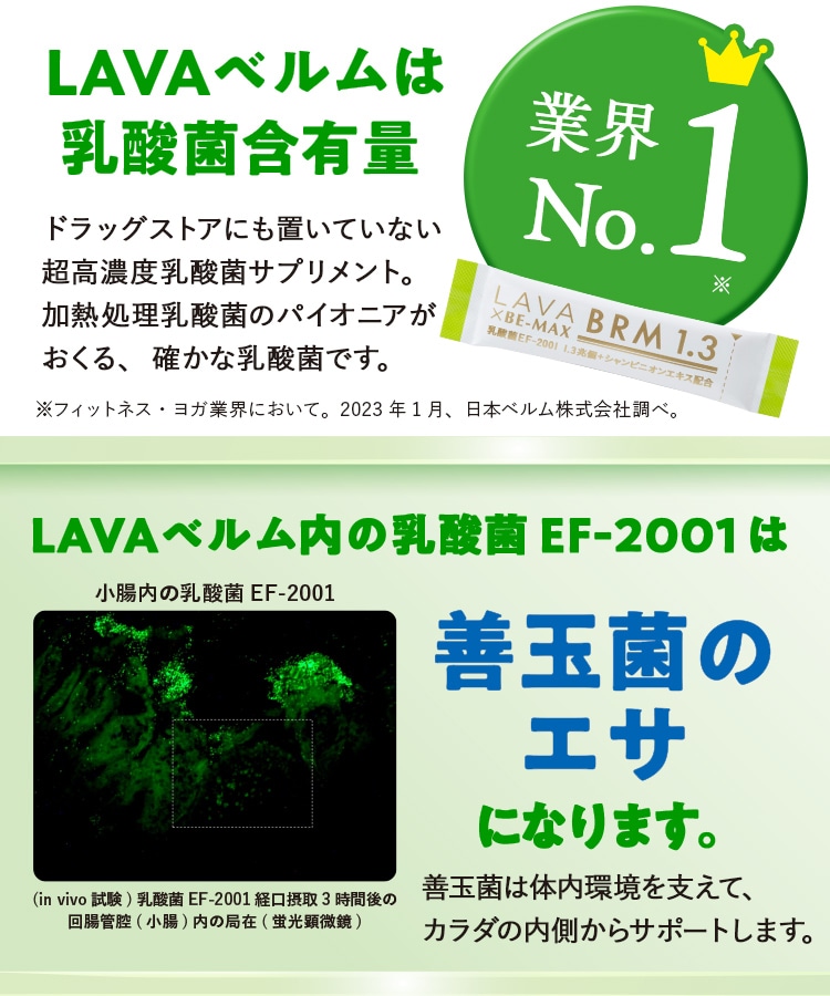 定期購入キャンペーン】LAVA BRM1.3［1箱コース：10％OFF］(50包／箱